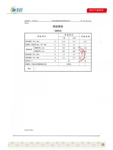 高分子益胶泥合格报告